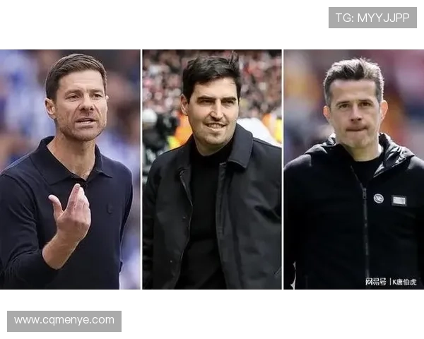 切尔西新帅名单不含哈维消息
